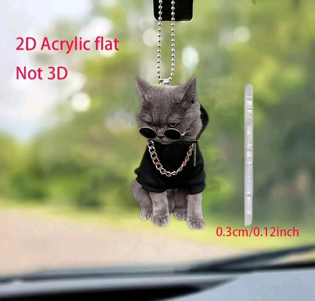cat mirror pendant